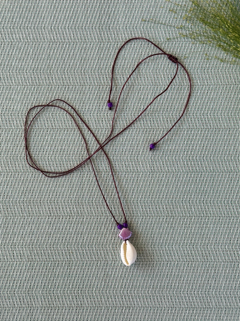 Lilac shell