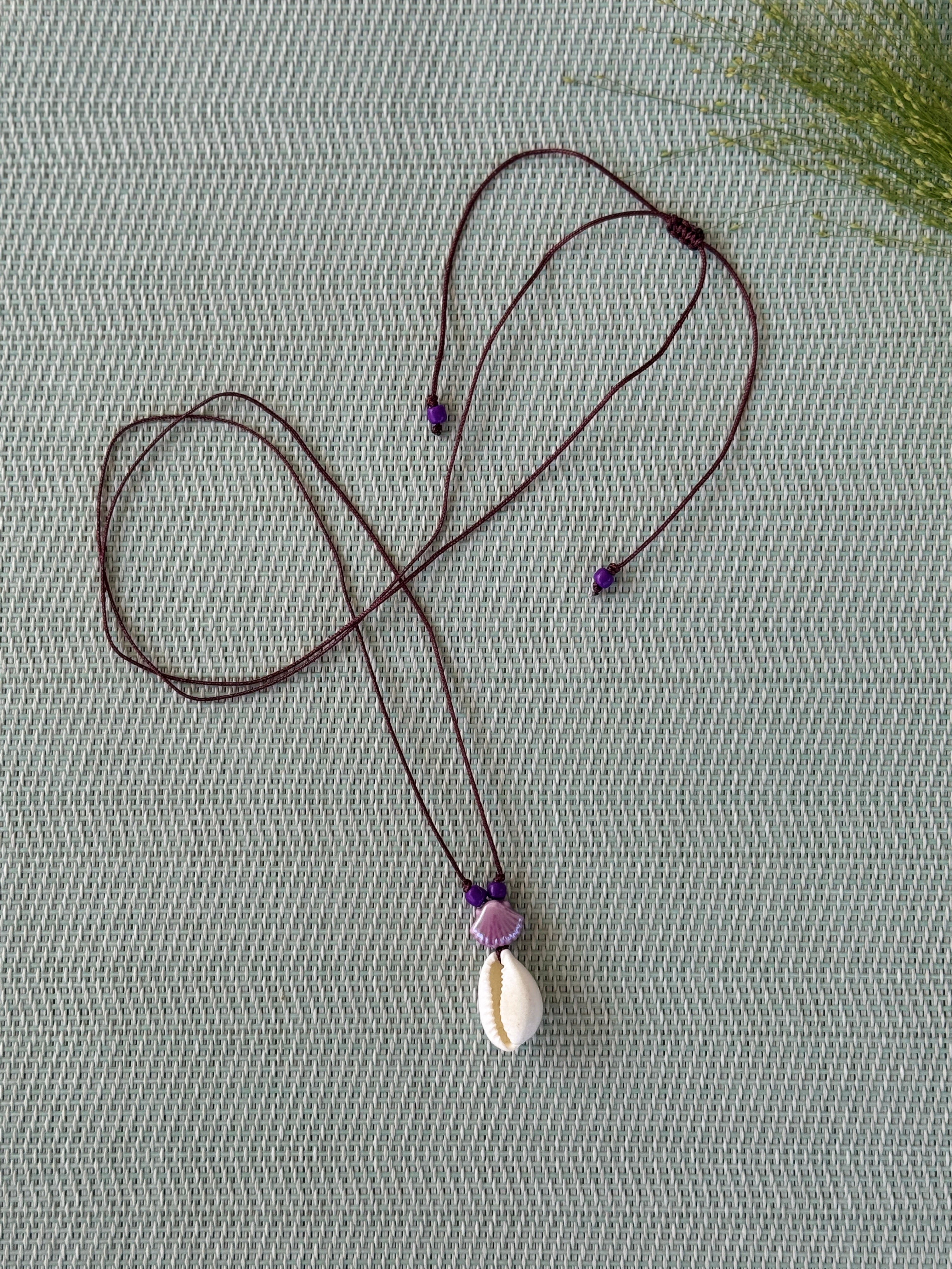 Lilac shell
